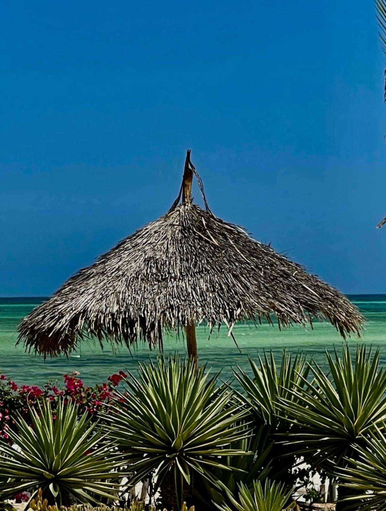 Shira House Bed & Breakfast Watamu Ngoại thất bức ảnh