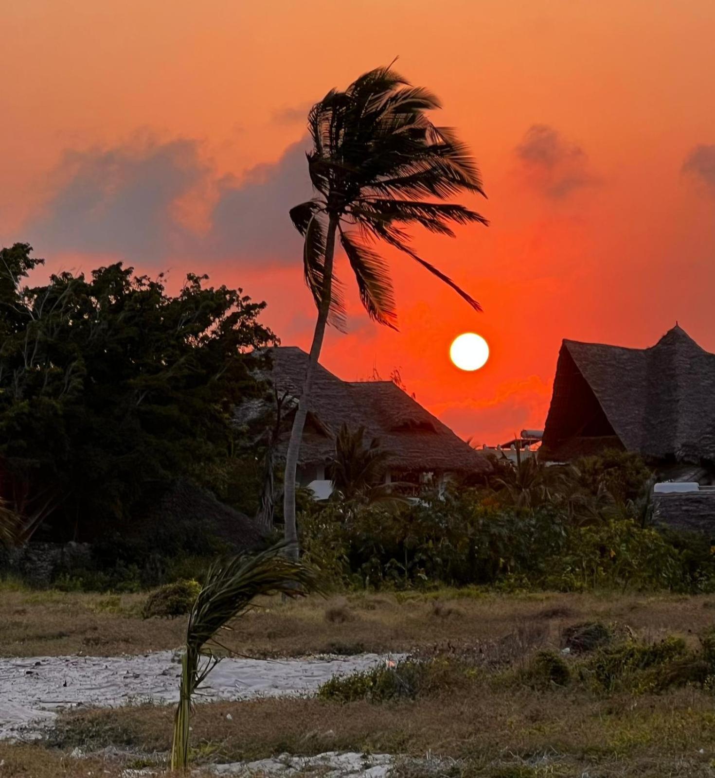 Shira House Bed & Breakfast Watamu Ngoại thất bức ảnh